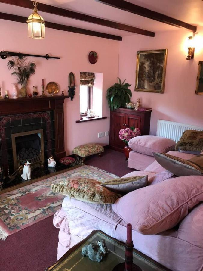 Cosy Cottage For Ecotourism Lovers Near Corwen Buitenkant foto