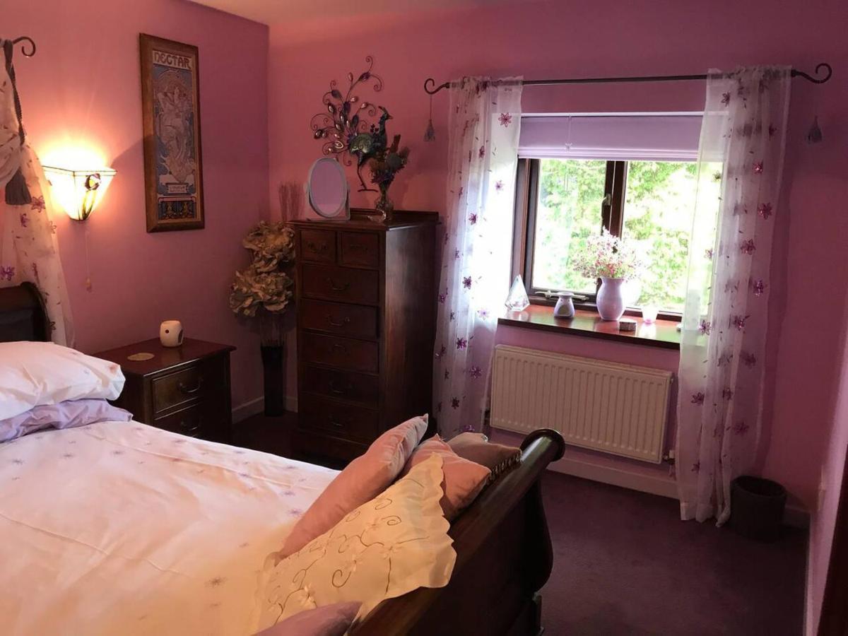 Cosy Cottage For Ecotourism Lovers Near Corwen Buitenkant foto