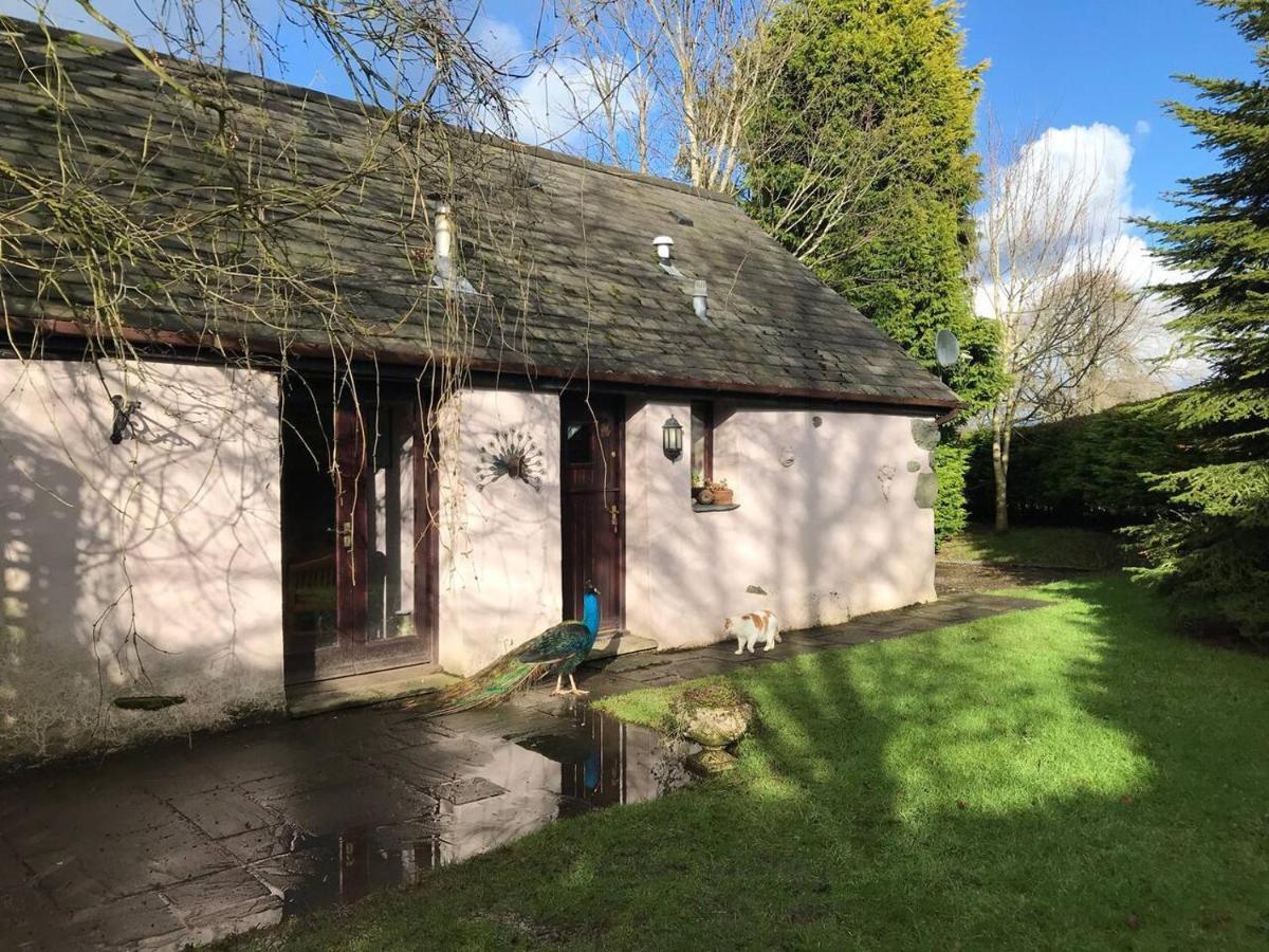 Cosy Cottage For Ecotourism Lovers Near Corwen Buitenkant foto