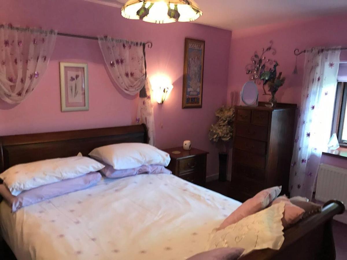 Cosy Cottage For Ecotourism Lovers Near Corwen Buitenkant foto
