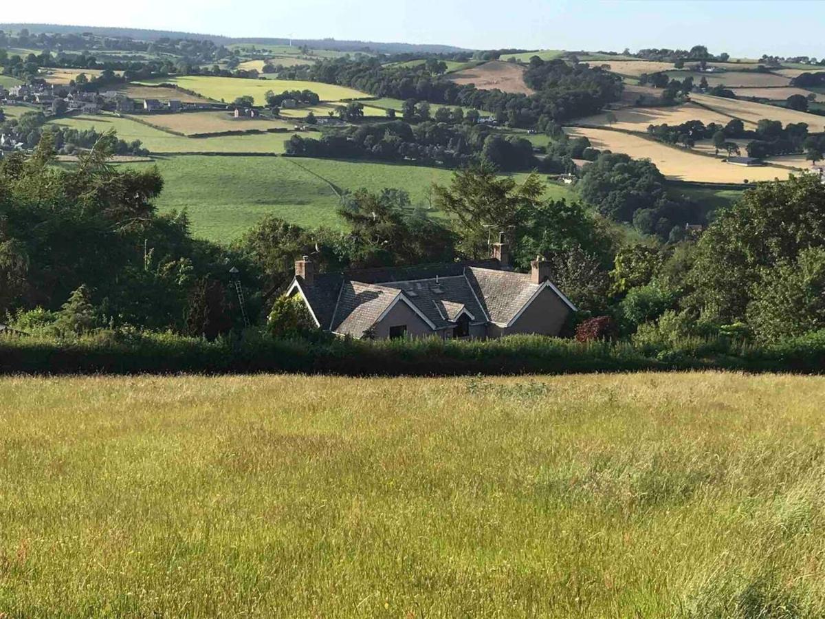 Cosy Cottage For Ecotourism Lovers Near Corwen Buitenkant foto