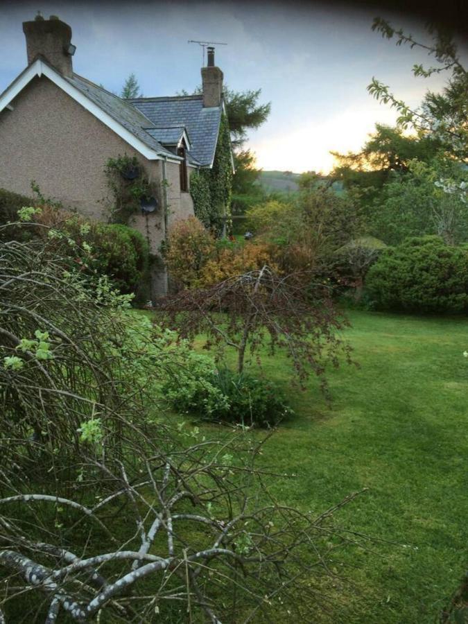 Cosy Cottage For Ecotourism Lovers Near Corwen Buitenkant foto