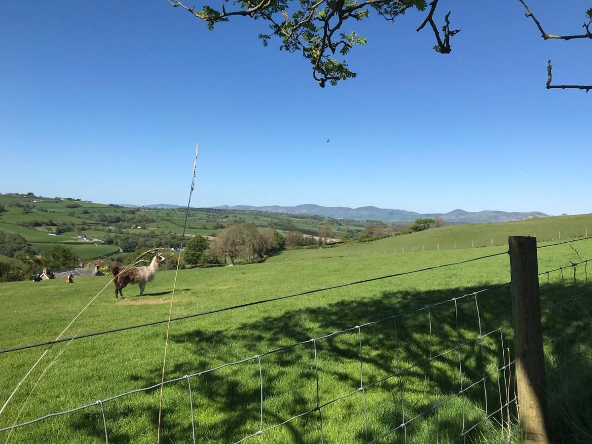 Cosy Cottage For Ecotourism Lovers Near Corwen Buitenkant foto